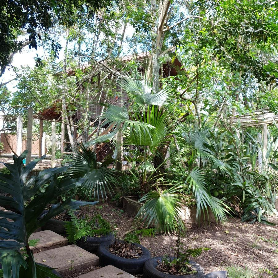 Cantinho Do Ceu - Espaco Ecologico Sao Pedro  Eksteriør bilde